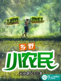 乡野小农民封面