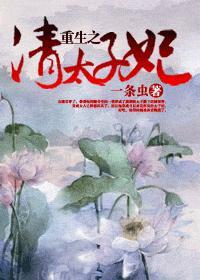 重生之清太子妃封面