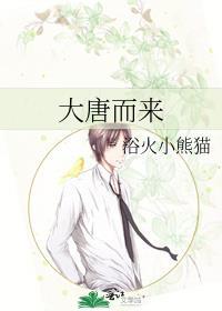 大唐而来封面