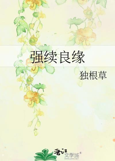 强续良缘封面