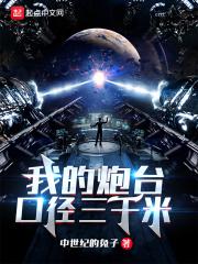 我的炮台口径三千米封面
