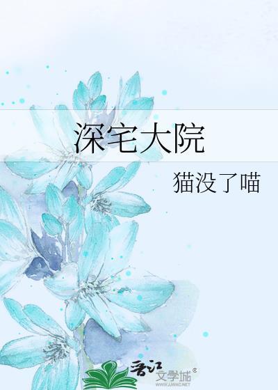 深宅大院封面