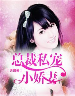 总裁私宠小娇妻封面