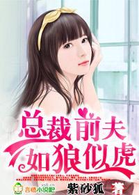 总裁前夫，如狼似虎封面