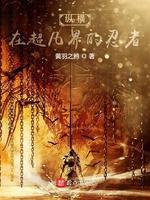 纵横在超凡界的忍者封面
