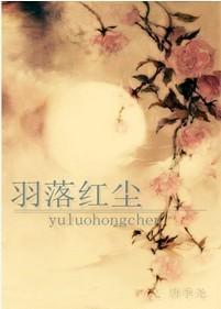 羽落红尘封面