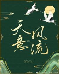 天意风流封面