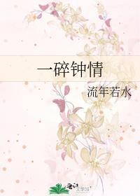 一碎钟情封面