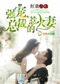 强宠,总裁的惹火妻封面