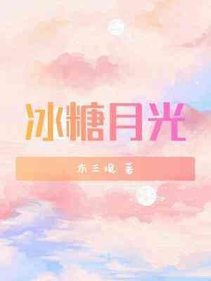 冰糖月光封面