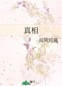 真相封面