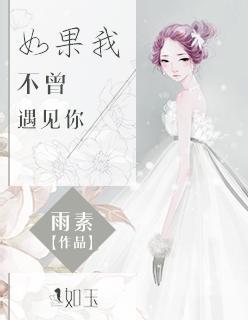 如果我不曾遇见你封面