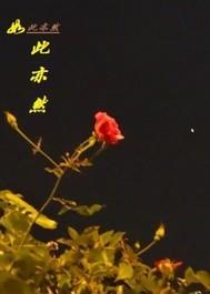 如此亦然封面