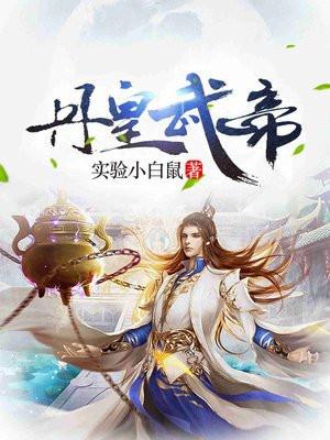 丹皇武帝封面