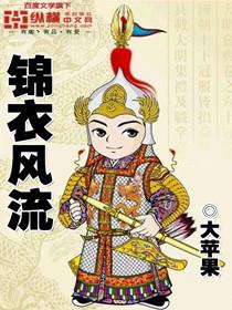 大明锦衣录封面