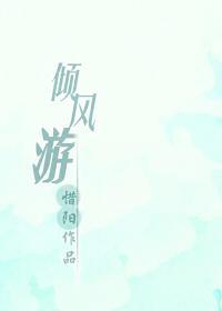倾风游封面