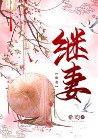 继妻封面