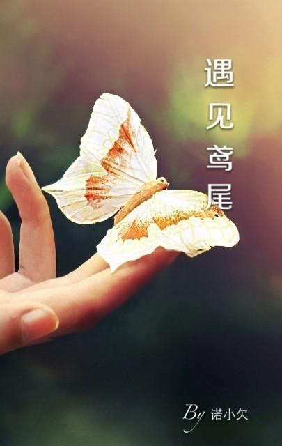 遇见鸢尾封面