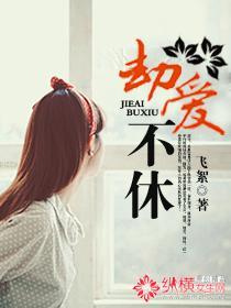 劫爱不休封面
