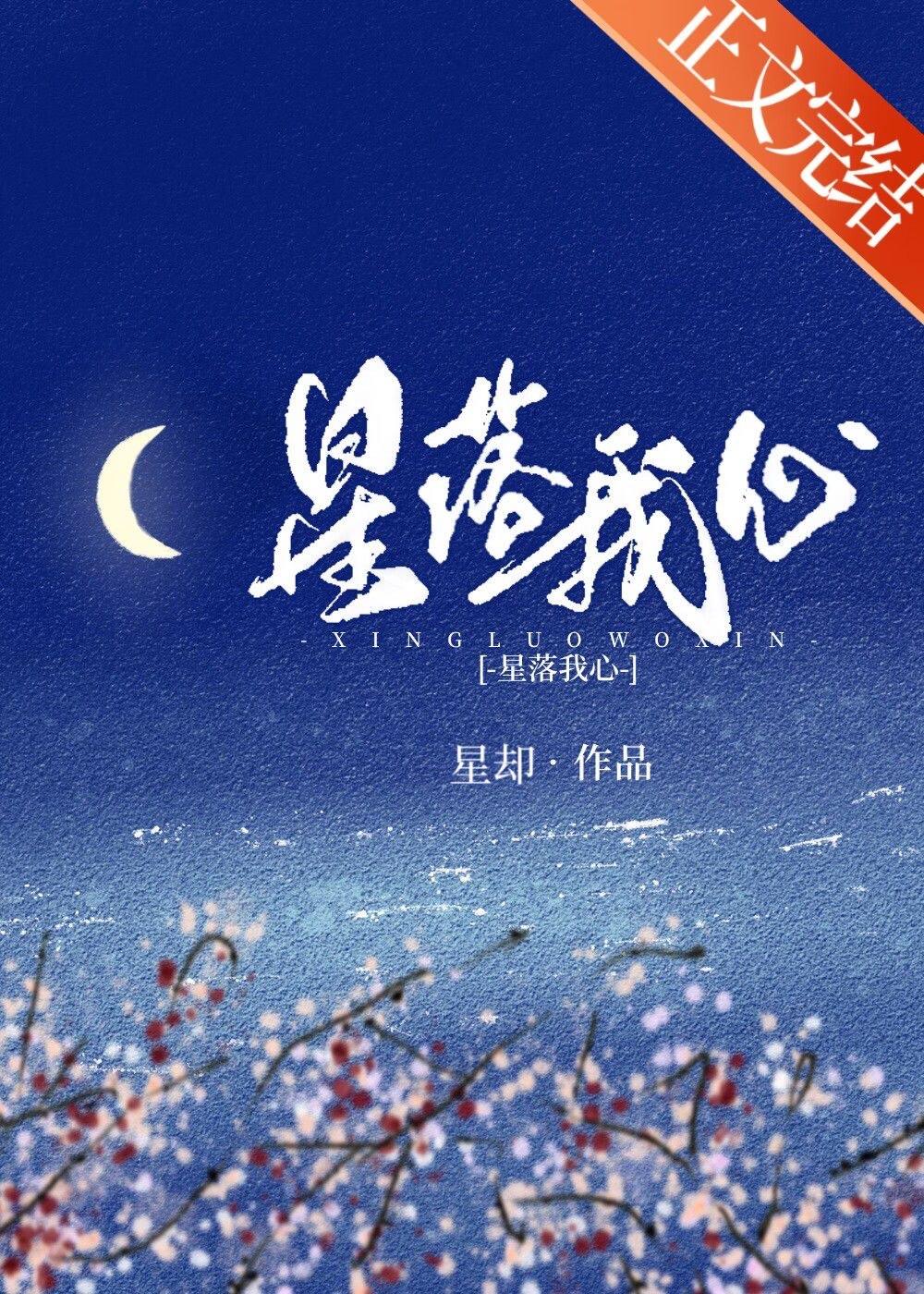 星落我心封面