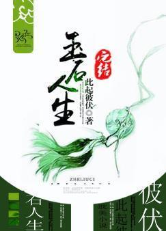 玉石人生封面