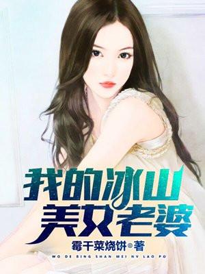 我的冰山美女老婆封面