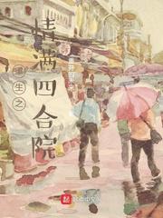 重生之情满四合院封面