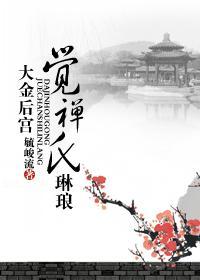 大金后宫——觉禅氏琳琅封面