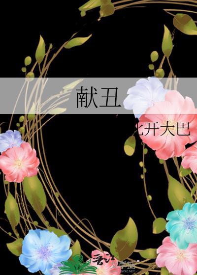 献丑封面