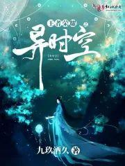 王者荣耀之异时空封面