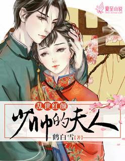 乱世红颜：少帅的夫人封面