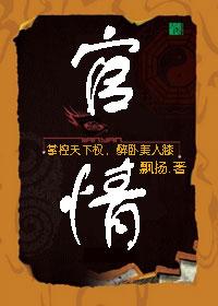 女市长的隐私：官情封面