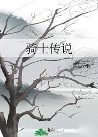 骑士传说封面