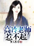 高冷老师惹不起封面