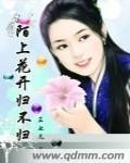 陌上花开归不归封面