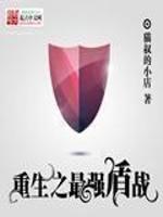 重生最强盾战封面