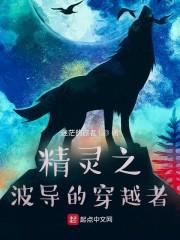 精灵之波导的穿越者封面