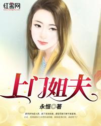 上门姐夫封面