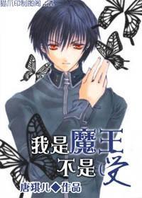 我是魔王不是受(腹黑魔王)封面