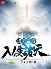 成天帝后入侵诸天封面
