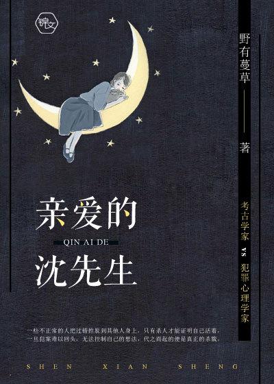 亲爱的沈先生封面