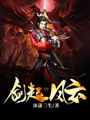 剑起风云封面