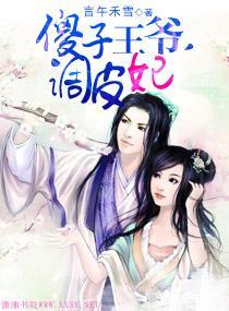 傻子王爷，调皮妃封面