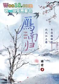 雁南归封面