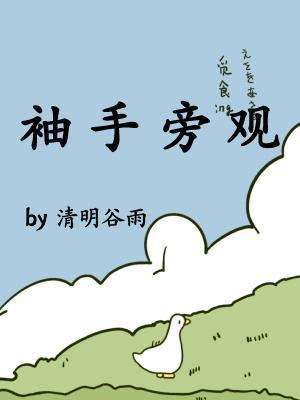 袖手旁观封面