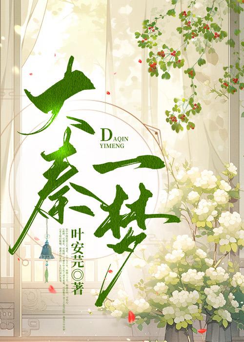 大秦一梦封面