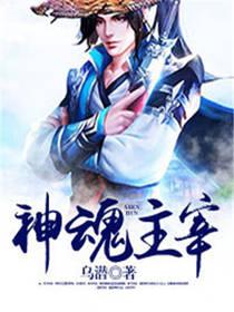 神魂主宰封面