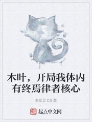 木叶，开局我体内有终焉律者核心封面