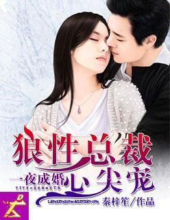 一夜成婚:狼性总裁心尖宠封面