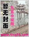 与狼共枕封面